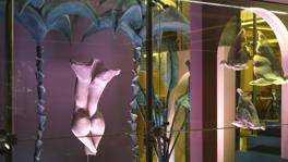 Imagen principal de la ficha